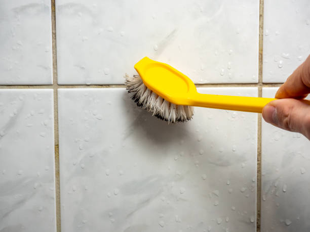 Best Mold Remediation  in Tarpey Village, CA