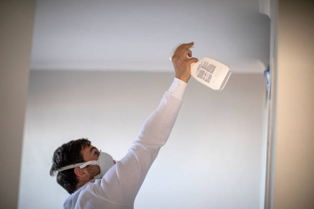 Best Black Mold Removal  in Tarpey Village, CA