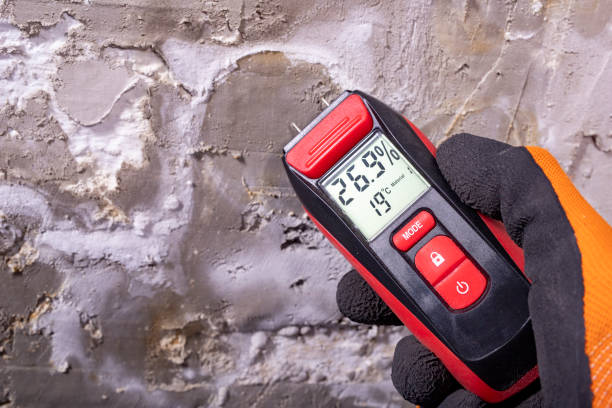 Mold Testing and Removal in Tarpey Village, CA