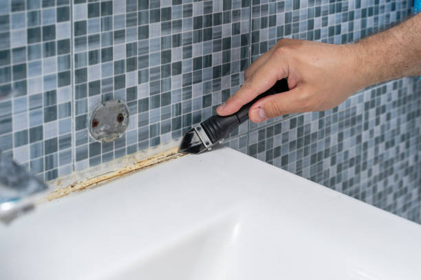 Best Local Mold Removal Service  in Tarpey Village, CA