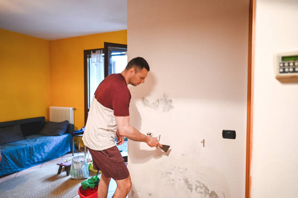 Best Attic Mold Removal  in Tarpey Village, CA